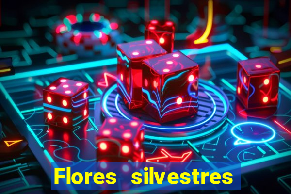 Flores silvestres brasileiras 25